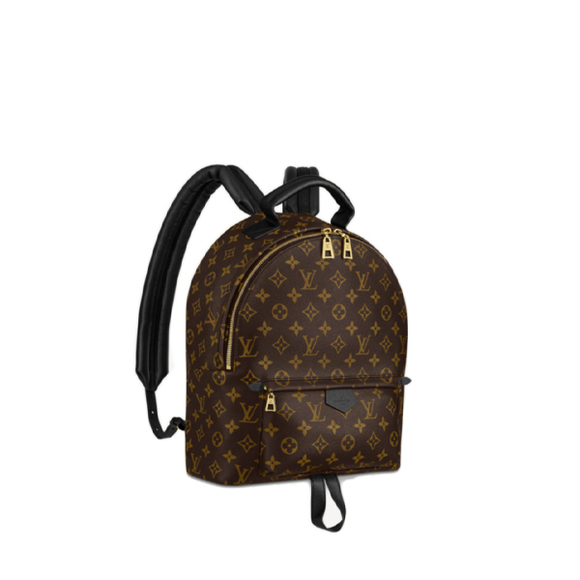 Louis Vuitton Palm Springs Monogram Backpack - Picture 1 of 4